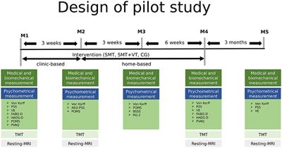 Training intervention effects on cognitive performance and neuronal plasticity—A pilot study